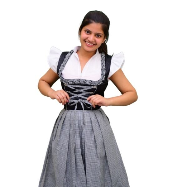 Authentic German Style Dirndl Dress 0019 (1)